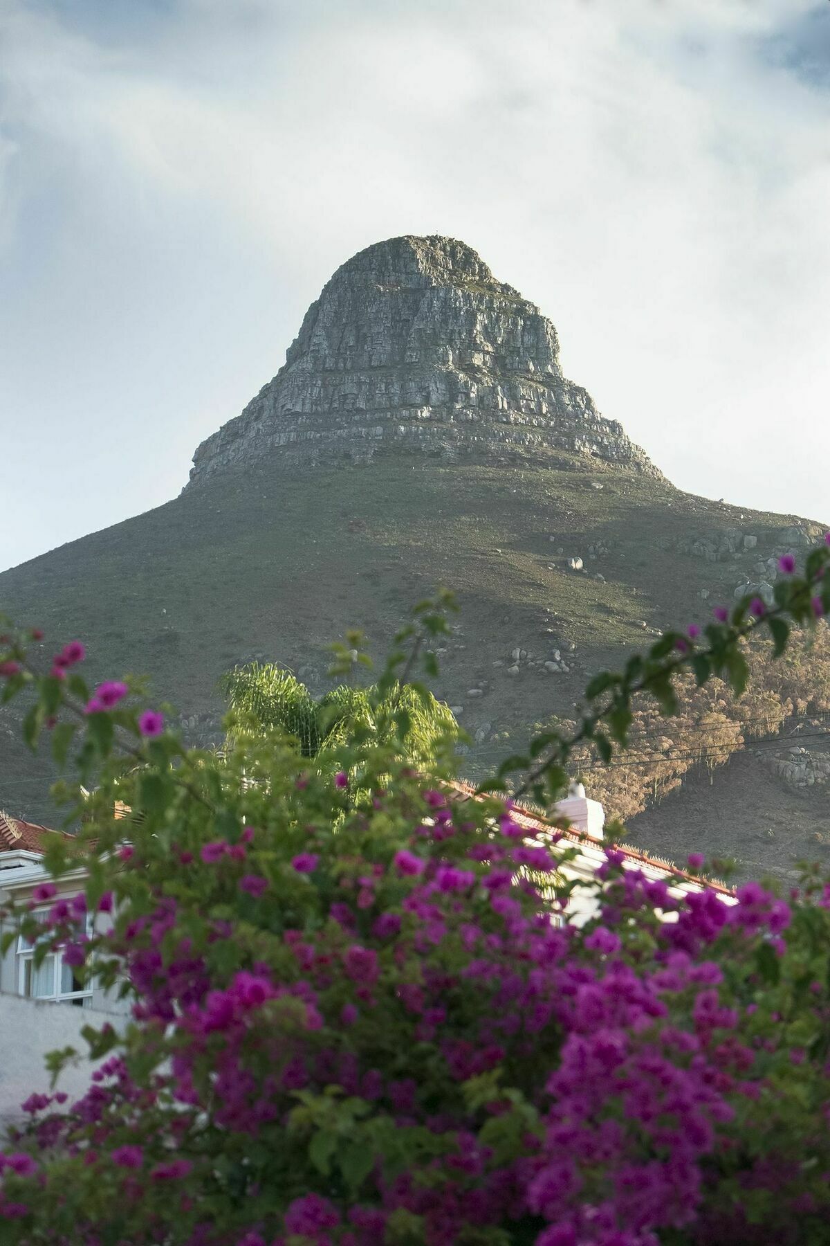 Rhonda'S Manor Boutique Guesthouse Cape Town Exterior photo